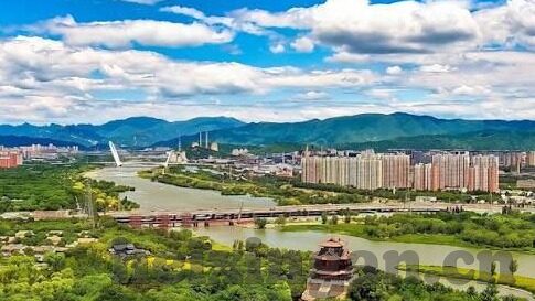91网址麻豆-探寻91网址与麻豆的交织世界