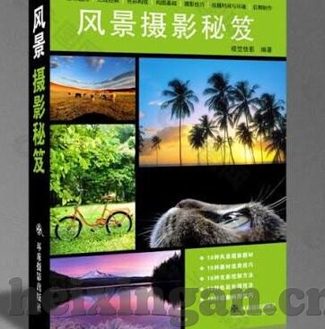 久久精品国产亚洲av麻豆网站-探寻真爱之境