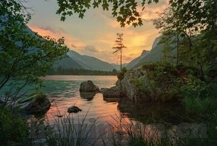 麻豆app官网安卓版下载-探访麻豆APP，安卓版下载的便捷与乐趣