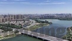 糖心视频app免费下载-糖心视频，引领娱乐新风尚——免费下载精彩纷呈