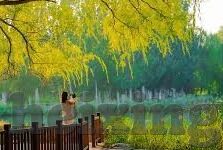 糖心vlog旧版黄版下载-探寻糖心Vlog，回忆与探索旧版与黄版下载的足迹