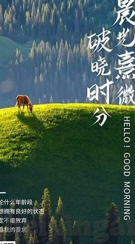 亚洲av日韩av综合在线观看-探索亚洲与日韩AV影视的多元文化视角