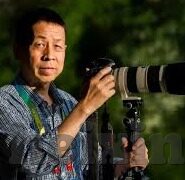 影音先锋色播电影中文字幕-影音先锋，中文字幕下的电影新体验